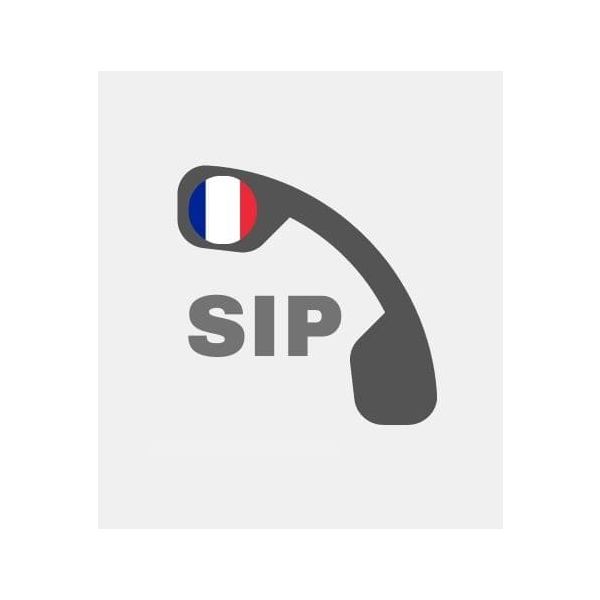 découvrez tout ce qu'il faut savoir sur les numéros voip en france. profitez d'appels de qualité à des tarifs compétitifs et optimisez votre communication grâce à des solutions modernes et flexibles adaptées à vos besoins.