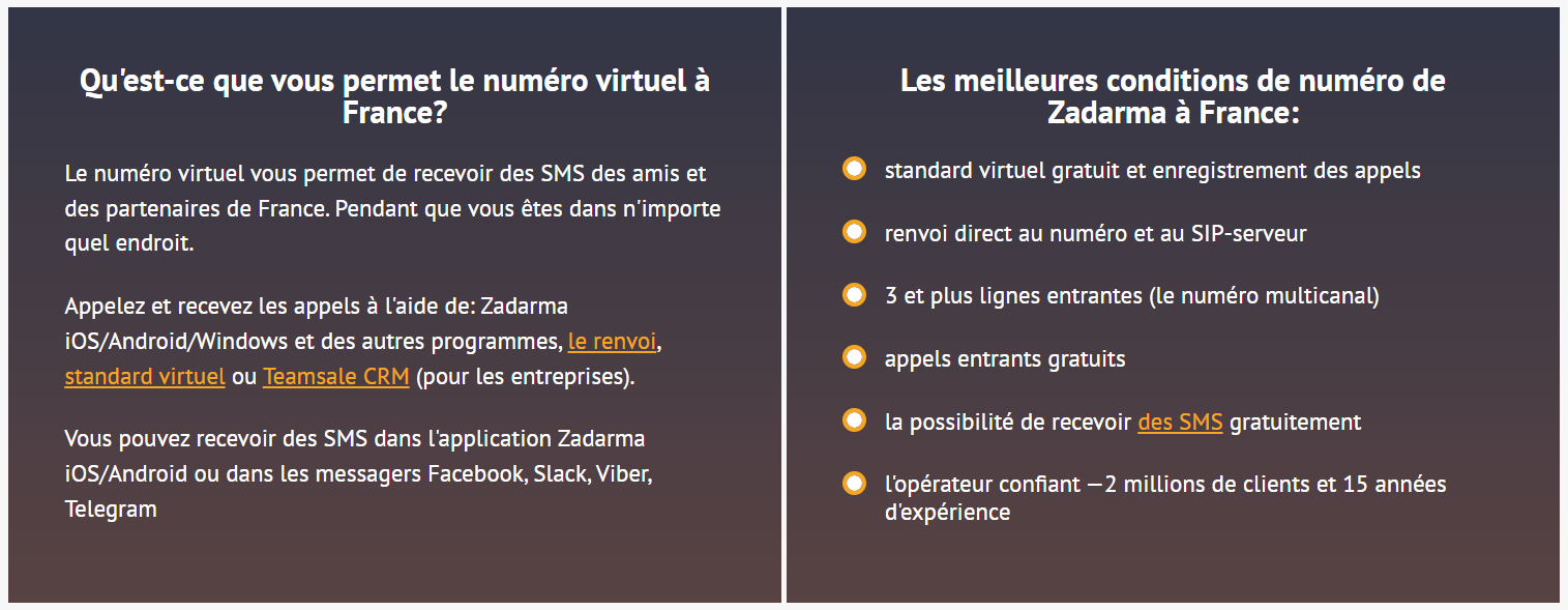 numero-francais-virtuel Numéro français virtuel : comment l'utiliser pour optimiser votre communication