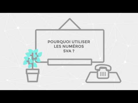 voip-et-numeros-surtaxes Numéros surtaxés en 08 : comprendre les enjeux de la téléphonie VoIP