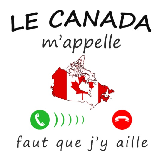 découvrez comment appeler le canada facilement et à moindre coût. guide pratique pour les préfixes, les options de téléphonie internationale et des conseils pour rester connecté avec vos proches au canada.