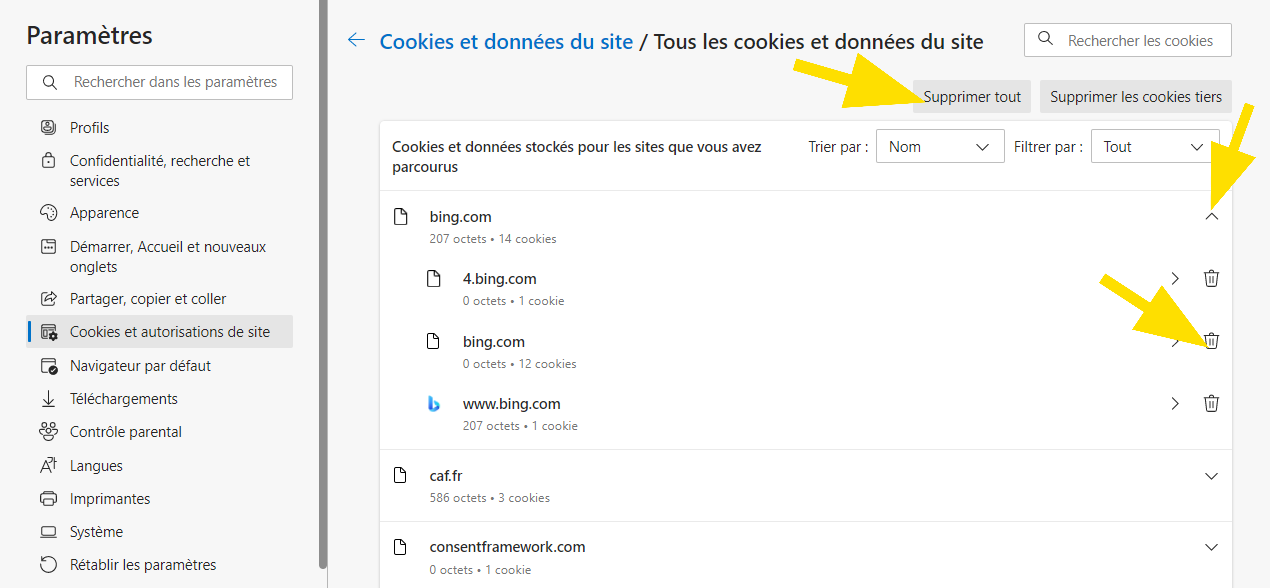 découvrez comment supprimer les cookies de votre navigateur pour garantir votre vie privée en ligne et améliorer les performances de votre navigation. suivez nos étapes simples et efficaces pour gérer vos données de manière sécurisée.