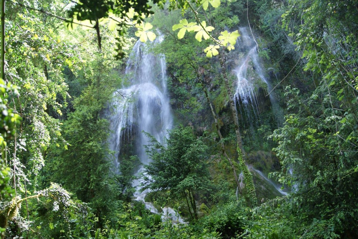 découvrez la beauté époustouflante des cascades, ces merveilles naturelles où l'eau s'écoule avec grâce et force. une invitation à explorer des paysages enchanteurs, à vous ressourcer au cœur de la nature et à vivre des aventures inoubliables au milieu des chutes d'eau majestueuses.