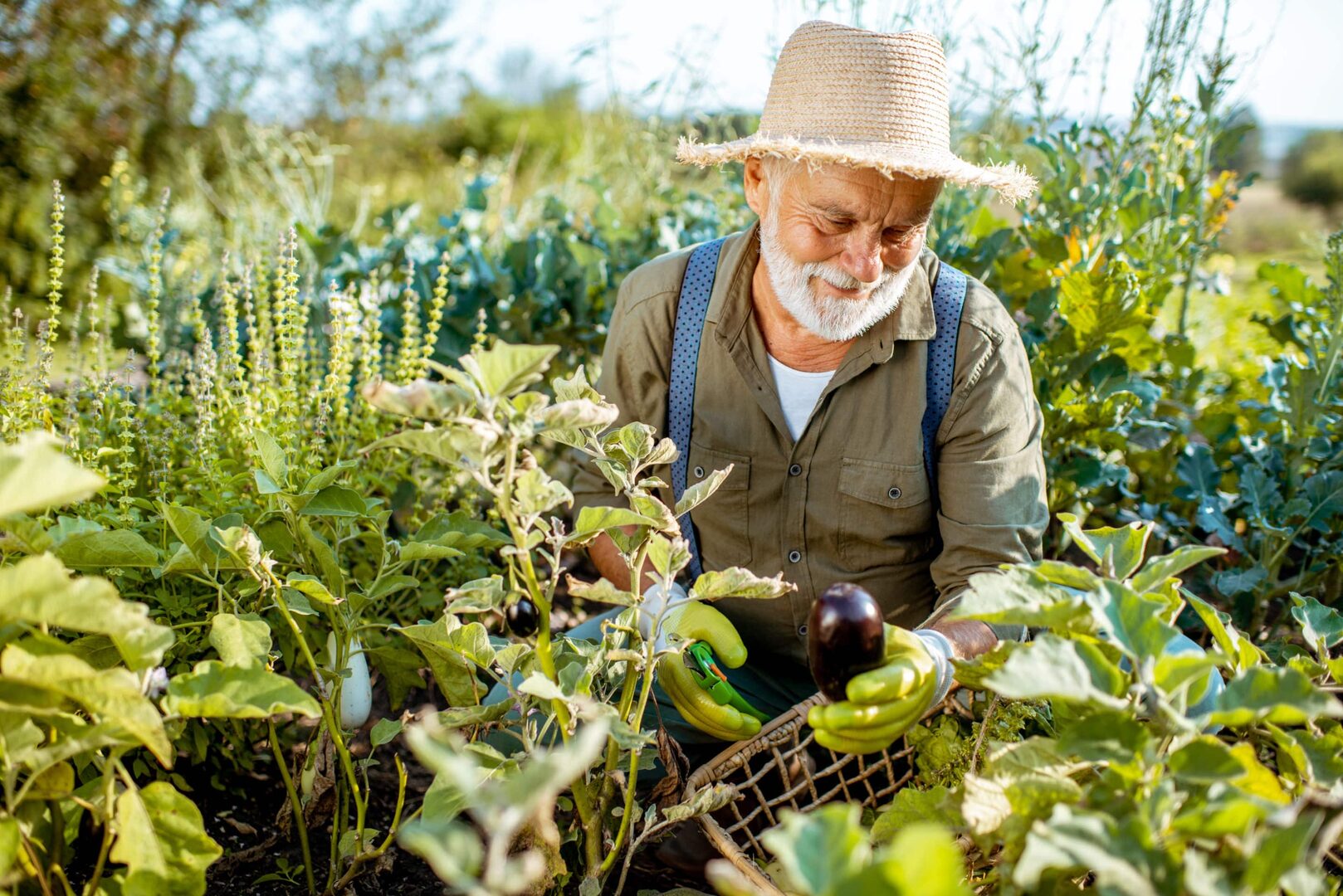 découvrez l'univers du jardinage : conseils, astuces et techniques pour cultiver un jardin florissant et harmonieux. que vous soyez débutant ou expert, apprenez à entretenir vos plantes, à aménager votre espace vert et à profiter des bienfaits de la nature.