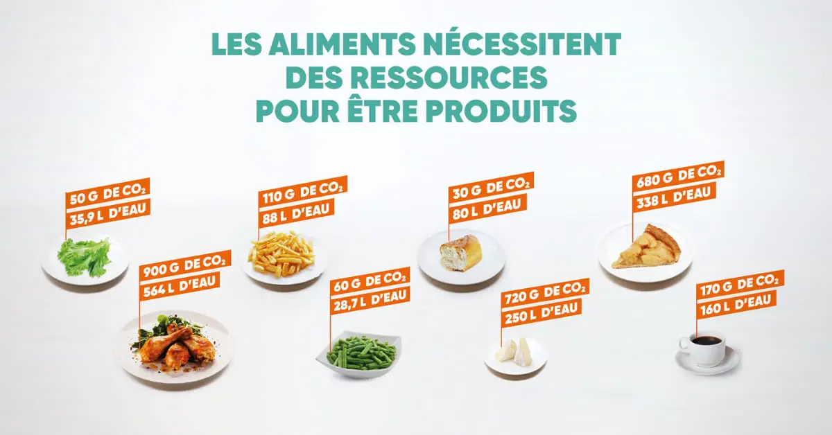 découvrez comment too good to go transforme notre façon de consommer en luttant contre le gaspillage alimentaire. rejoignez la révolution de la consommation responsable et savourez des repas délicieux à prix réduits tout en protégeant notre planète.