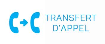 découvrez notre service de transfert d'appel, conçu pour vous offrir flexibilité et accessibilité. recevez vos appels sur différents appareils, où que vous soyez, sans aucune interruption. optez pour une communication sans limites !