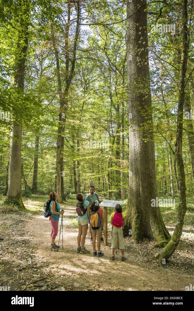 auvergne-03-1 Quel département 03 : tout savoir sur l'Auvergne et ses opérateurs