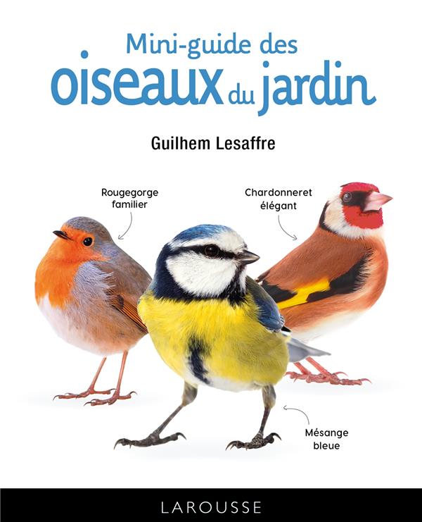 guide-jardin-1 Jardineries Dupoirier : votre guide pour un jardin épanoui