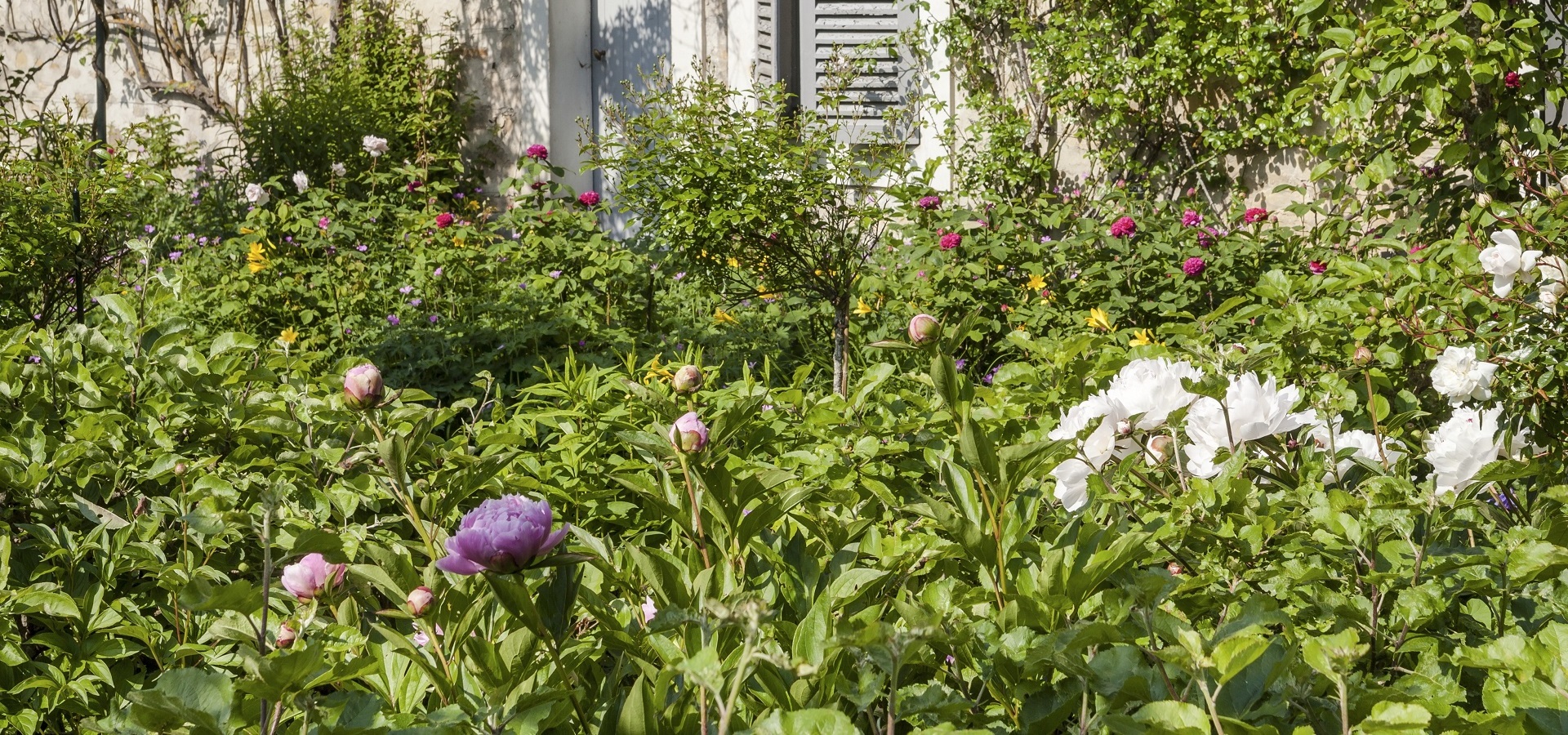 guide-jardin Jardineries Dupoirier : votre guide pour un jardin épanoui