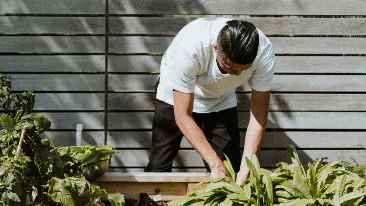 jardinage-2 Jardinerie Dupoirier : conseils et astuces pour un jardin florissant