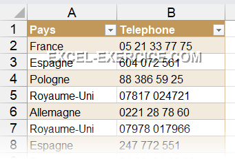 numeros-de-telephone-en-france-3 Prefix France : tout savoir sur les numéros de téléphone en France