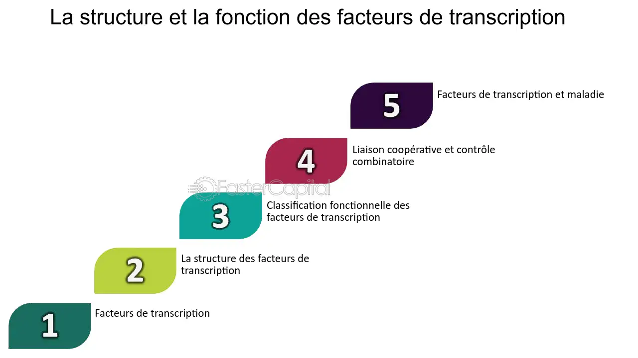 optimiser-transcription Services de transcription : comment optimiser votre flux de travail