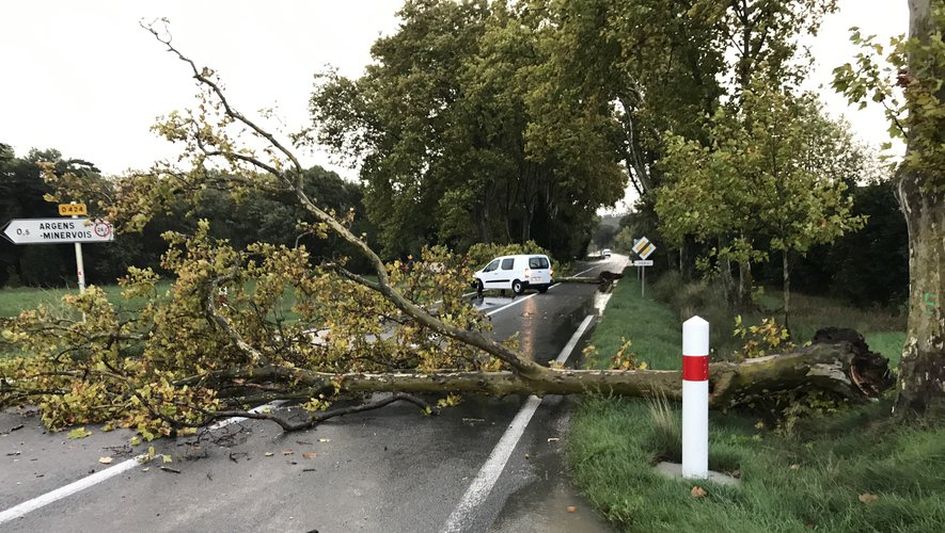 region-0424-1 Tel 0424 : quelle région cela désigne-t-il ?