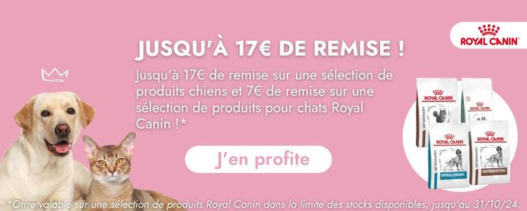 restez-connecte-avec-votre-numero Restez connecté : Gardez votre numéro de téléphone grâce à StandardFacile