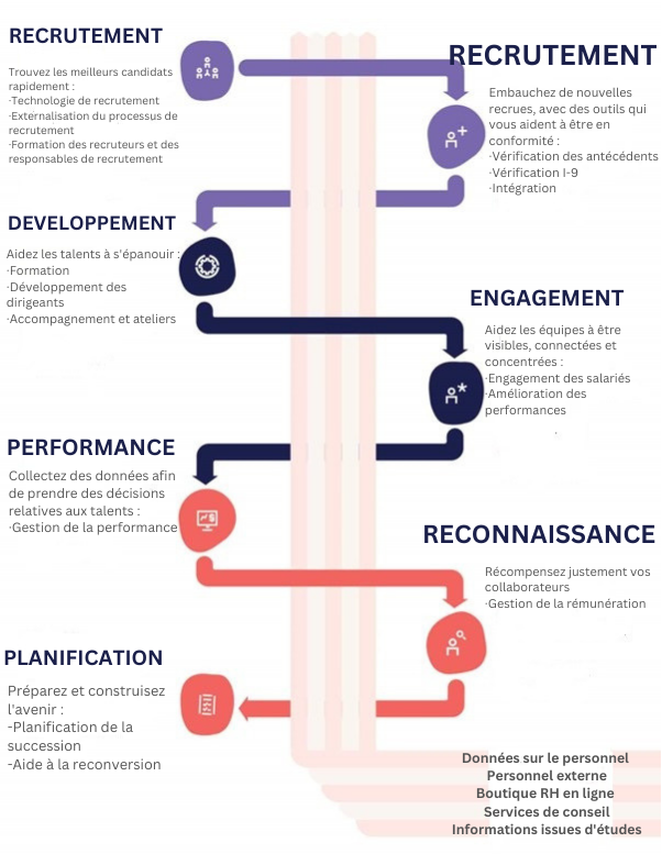 talent Gestion du talent : stratégies pour attirer et retenir les meilleurs