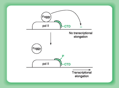 transcription-2 Révolutionnez votre productivité avec un logiciel de transcription